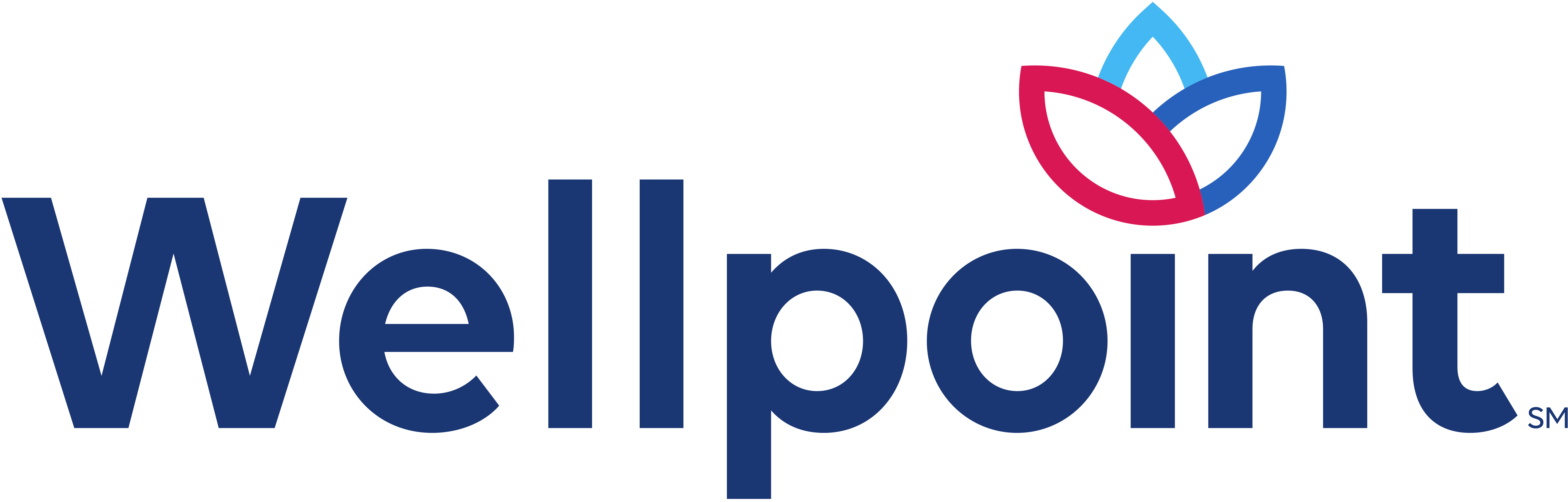 WellPoint Insurance